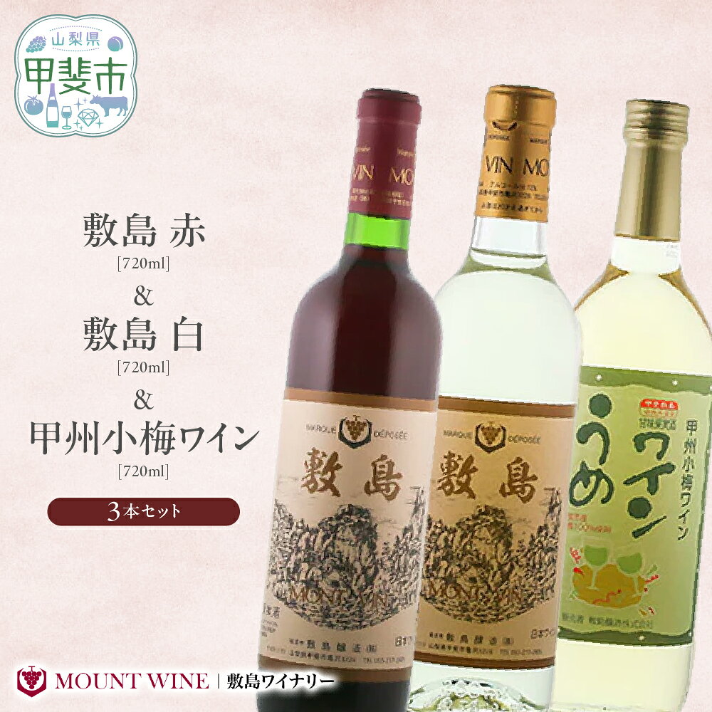 【ふるさと納税】【敷島 赤 ＆ 敷島 白 & 甲州小梅ワイン】720ml × 3本 セット 敷島醸造 白ワイン 赤ワイン わいん 小梅ワイン 辛口 ワインセット 飲み比べ 日本ワイン 国産ワイン 甲州 山梨 甲斐市 F-3