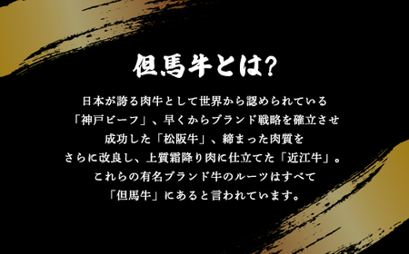 【但馬牛】ロースステーキ 3枚(計450g)大人気!焼肉タレ付 個包装でお届け【配送不可地域：離島】【1079729】