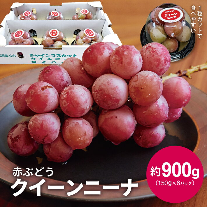 【ふるさと納税】赤ぶどう クイーンニーナ 約900g 150g×6パック 9月上旬～10月上旬頃お届け 冷蔵便 ※着日指定・離島発送不可 ぶどう ブドウ 葡萄 果物 フルーツ ハウス 東北 山形県 酒田市 庄内 カット