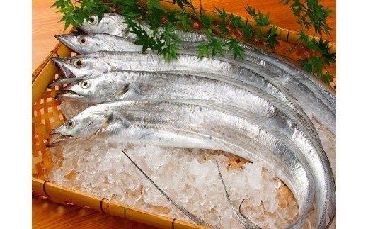 323 太刀魚 西京漬（網代編）2~3人前(A323-1)