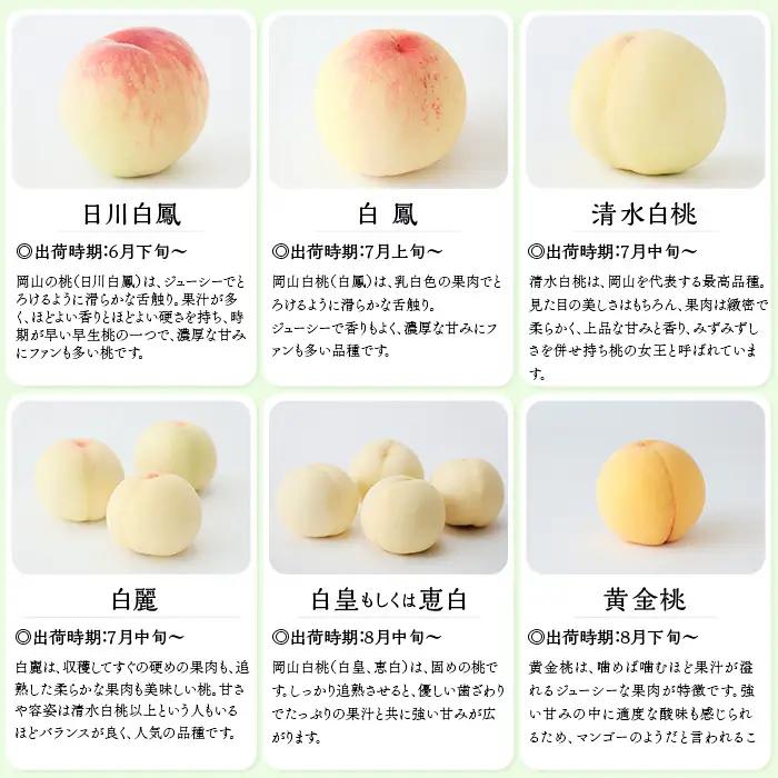 【ご家庭用】岡山白桃 白鳳 5～7玉【2026年7月上旬頃から順次発送】