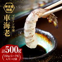 【ふるさと納税】【レビューキャンペーン実施中】車海老 計500g（250g×2袋）/ 刺身 しゃぶしゃぶ 伊万里特産 プロトン冷凍 エビ えび 海老 車海老 / 佐賀県 / 拓水 伊万里クルマエビセンター [41AEAJ007]