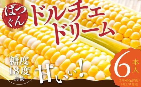 ドルチェドリーム 6本入り【2025年6月上旬から発送】REGALO[5530-0396]