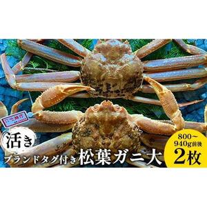 【活き】ブランド タグ付き 松葉ガニ 大  800～940g前後 2枚 ※2026年11月上旬～2027年3月上旬頃に順次発送予定 松葉ガニ