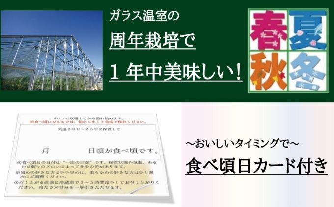 クラウンメロン　規格外特大玉　1玉入【配送不可：離島】 果物 フルーツ デザート おやつ おもてなし ブランド 温室 温室育ち 濃厚 超特大サイズ 静岡県産 浜松市産 