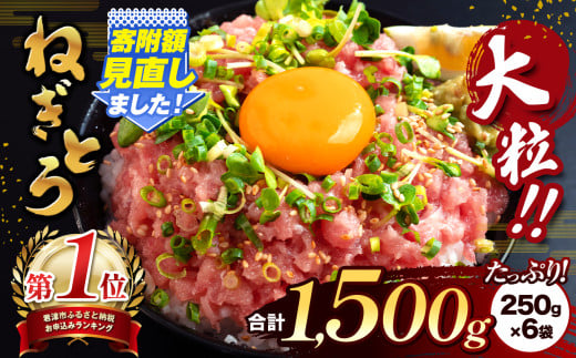 清幸丸水産 大人気！ねぎとろ1500g【2月発送分】