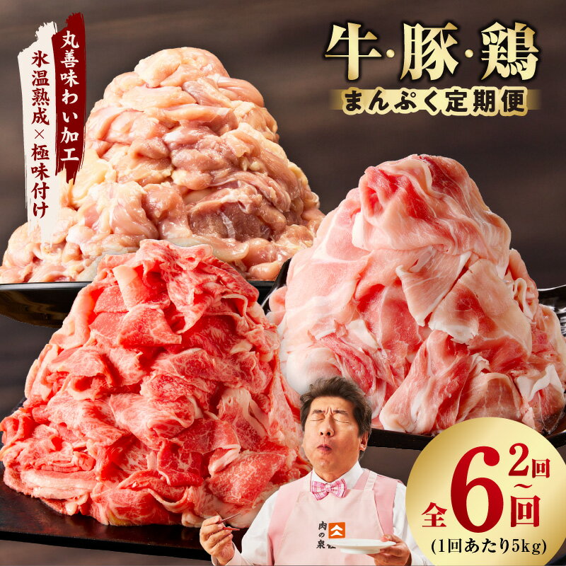 【ふるさと納税】【訳あり】 国産 牛肉 豚肉 鶏肉 5kg まんぷく 定期便 選べる 2回 / 3回 / 4回 / 6回 毎月配送コース 切り落とし もも カット 味付き 小分け 冷凍 肉 普段使い セット 大阪府 泉佐野市 送料無料 熟成肉 氷温熟成 作り方 ふるさと納税オリジナル 限定