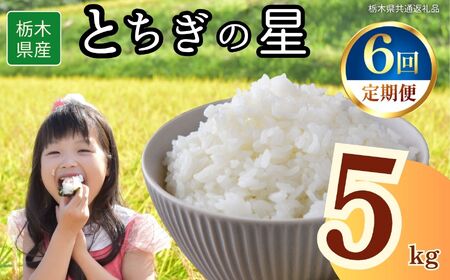【6回定期便】栃木県産 とちぎの星 5kg | 栃木県 下野市