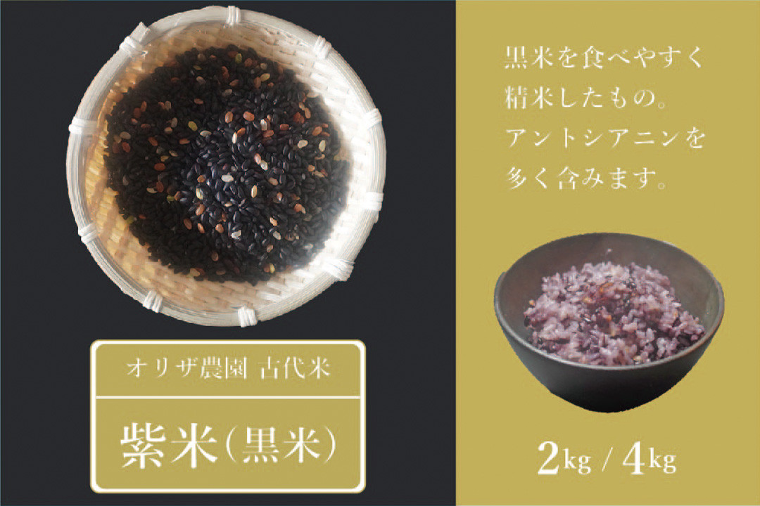
            【ふるさと納税】オリザ農園 自然栽培の古代米「紫米(黒米)」2kg/4kg(2kg×2袋) 炊き方も簡単、雑穀のように白米に混ぜるだけ 美味しく簡単に栄養をプラス【長野県信濃町】
          