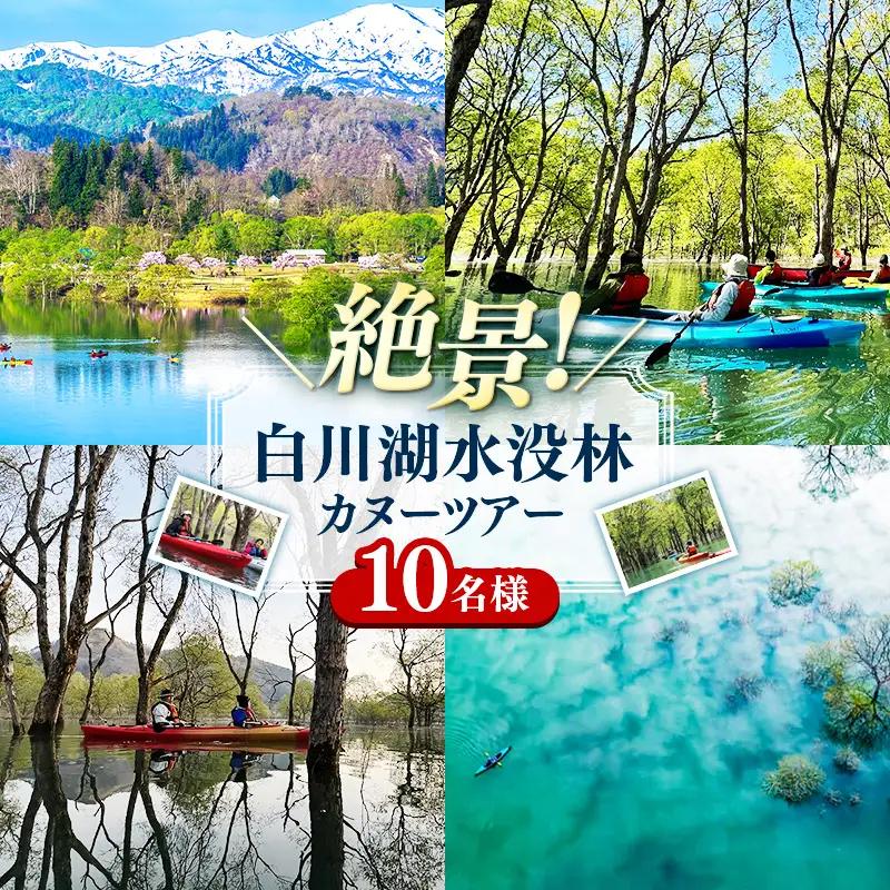 絶景 水没林カヌープレミアムツアー（10名様分）癒しの自然満喫プレミアムアクティビティ - 体験型 カヌー体験 レジャー カヌー 自然 白川湖 水没林 体験チケット アクティビティ フォトジェニックスポット 観光 アウトドア 山形県 飯豊町【価格改定】