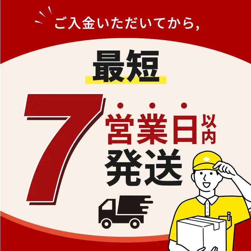 炭酸飲料 コカ・コーラ 500ml 24本 炭酸飲料