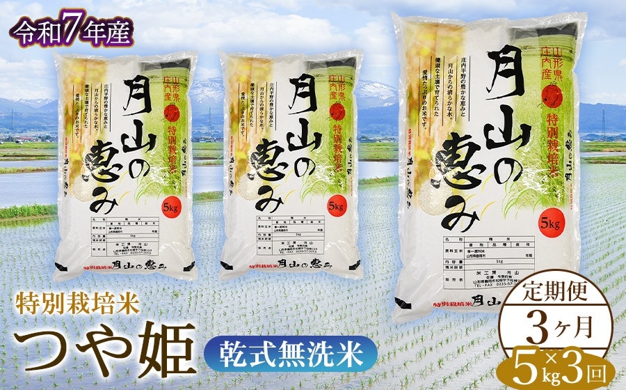 
                  【3ヶ月定期便】 令和7年産 特別栽培米 つや姫 乾式無洗米 5kg (5kg×1袋) ×3回　毎月1回中旬発送 山形県鶴岡市産 米工房月山 | こめ 定期便 東北 山形 鶴岡 国産 ブランド米 米どころ 庄内米 人気 贈答 ギフト プレゼント お弁当 おすすめ 炊き立て 美味しい 甘い もちもち 食感 農家直送
                