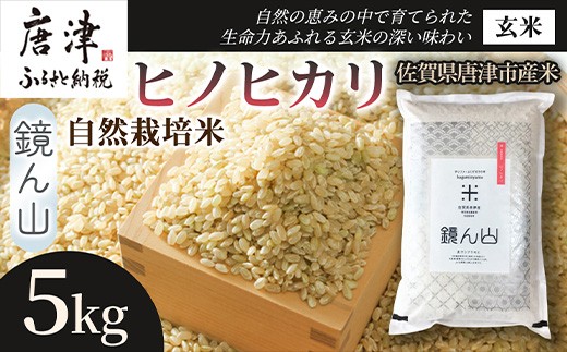 【小粒で旨みのある味わい】自然栽培米5kg ヒノヒカリ(玄米) 1袋 玄穀ごはん 丼料理向き チャーハン向き 家庭用 食卓用主食 日本産穀物  料理向きご飯 プレミアム米  国産米