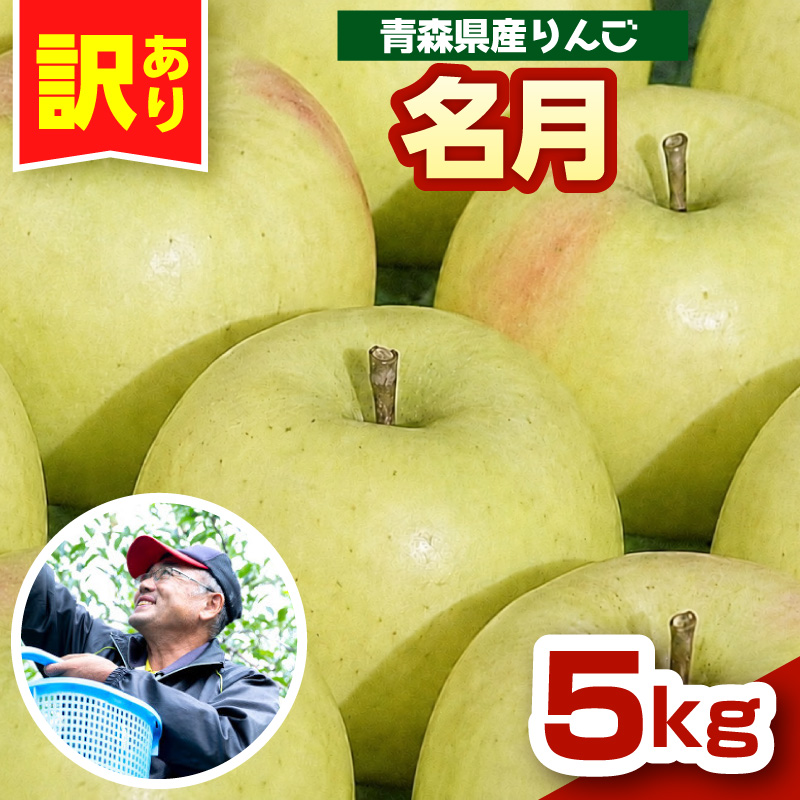 りんご　青森 ぐんま名月 訳あり 5kg 程度 【 11 月中旬以降順次 発送 】 群馬めいげつ 名月 農家直送 青森県 五所川原市 傷 キズ ワケアリ 林檎 リンゴ apple
