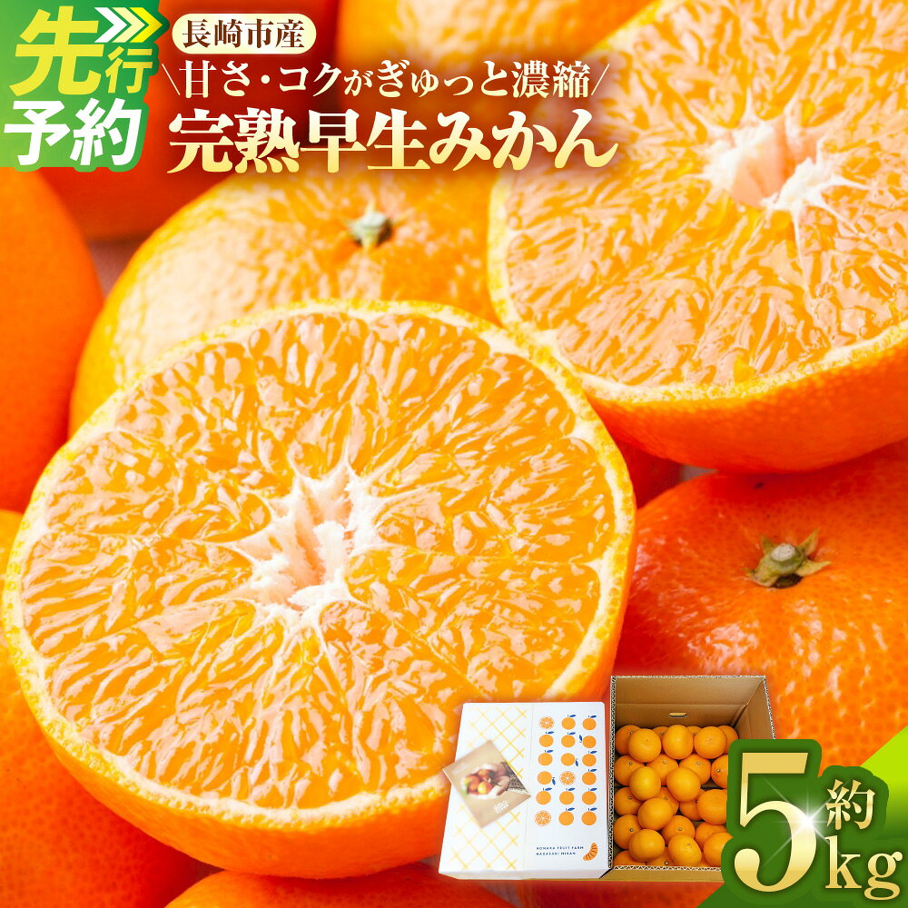 【ふるさと納税】完熟早生みかん 約5kg箱 | 期間限定 果物 くだもの フルーツ みかん ミカン 柑橘 完熟 5キロ 長崎 オンライン決済限定 長崎県 長崎市 野中果樹園 アフター保証 【2026年11月上旬～12月下旬迄発送予定】完
