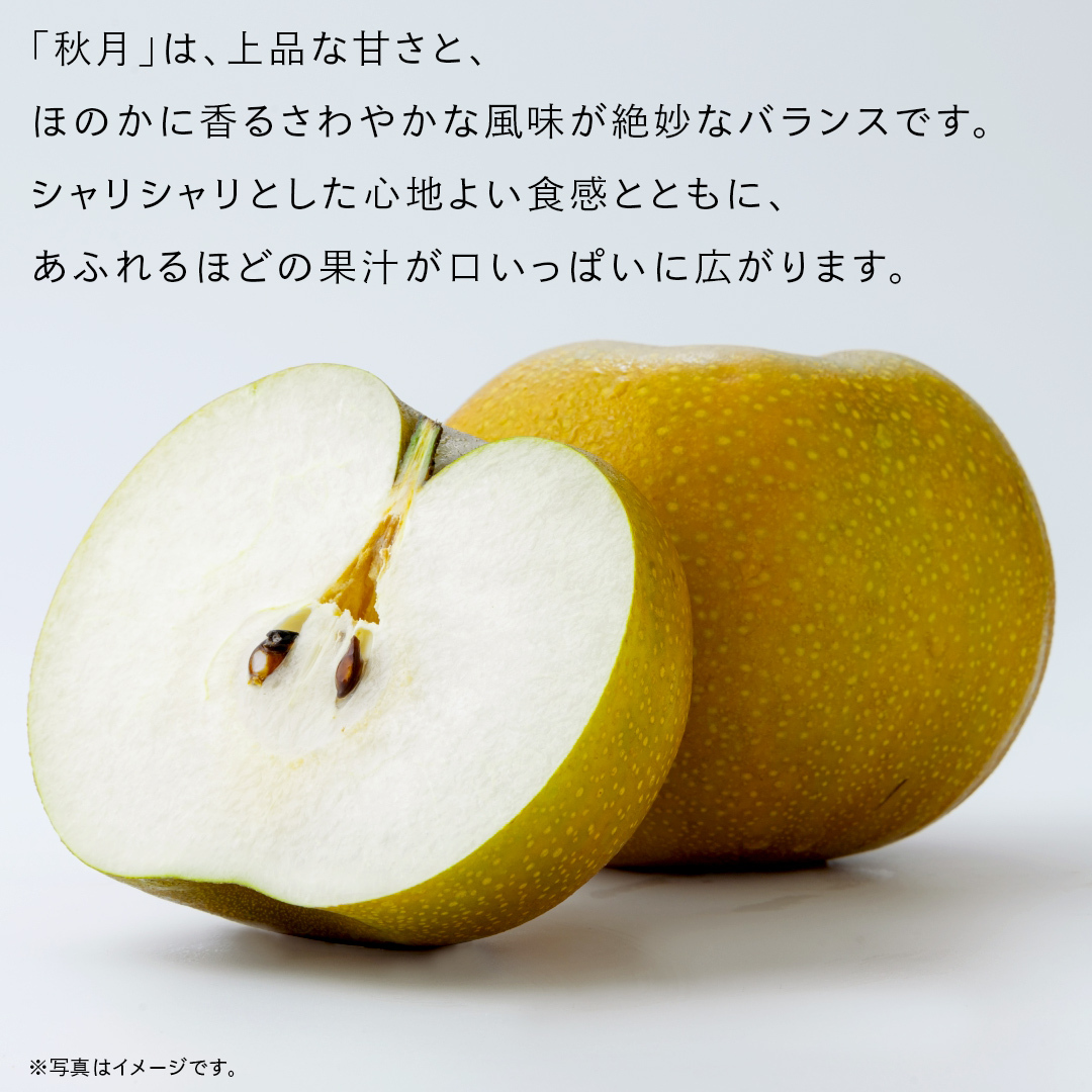 あきづき 梨 10kg （20～36玉）【2025年10月より発送開始】（茨城県共通返礼品 [梨]：大子町産） なし 旬 お取り寄せ フルーツ 甘い ジューシー 和梨 時期 秋月 [FC08-NT]_