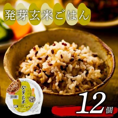 ふるさと納税 松原市 米匠庵 発芽玄米ご飯 160g×12個 国産原料100% ご飯パック 常温保存 レンジ調理 大阪松原
