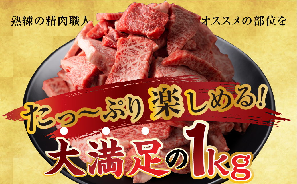 [A5等級] 飛騨牛【訳あり】飛騨牛 焼肉 切り落とし 500g × 2 計 1kg | 牛肉 肉 切落し 和牛 牛肉 肉 わけあり ワケアリ 不揃い 小分け 冷凍 焼き肉 お肉 やきにく 着日指定 