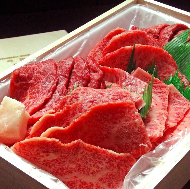 
大田原牛　極上霜降り肉と濃厚赤身肉のお任せ焼肉詰め合わせ（500ｇ）
