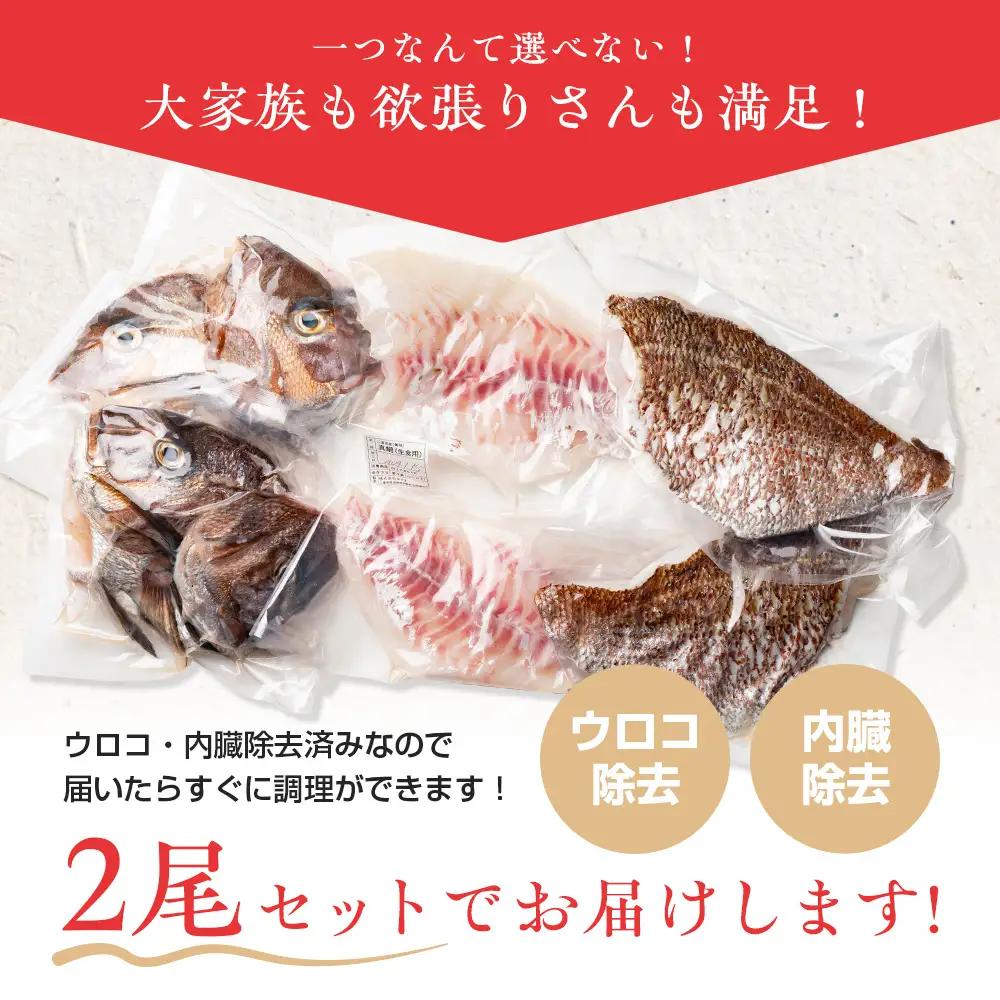 （冷蔵）【２尾】ジュワっと旨み溢れるブランド真鯛 スキンレス 皮あり ／ はさま あなたに逢い鯛。 鯛 真鯛 刺身 しゃぶしゃぶ 鯛めし 三重県 南伊勢町 伊勢志摩