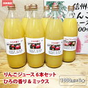 【ふるさと納税】りんごジュース6本セット　ひろの香り&ミックス《田田農園》飲料類 果汁飲料 りんご リンゴ ジュース