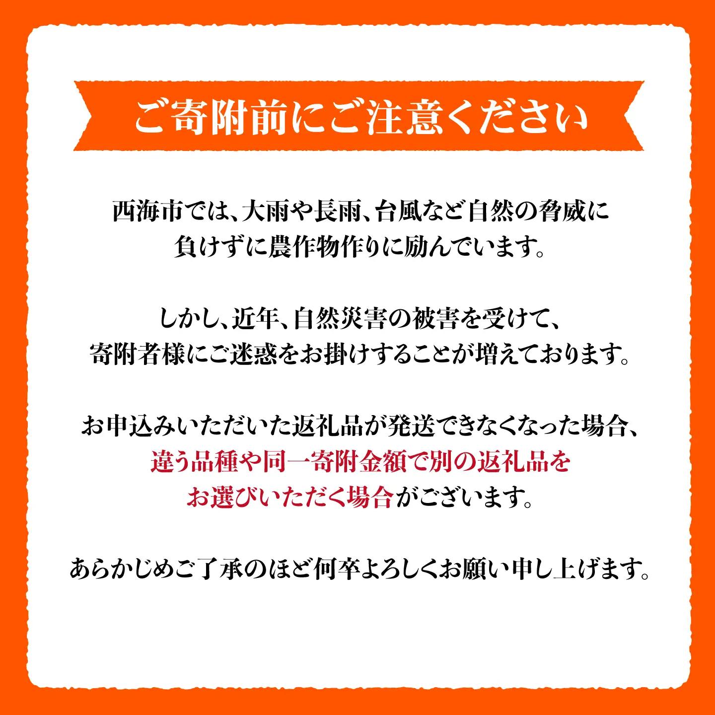 【数量限定】 【訳あり】 原口みかん 約5kg ＜田川農園＞[CGR002]