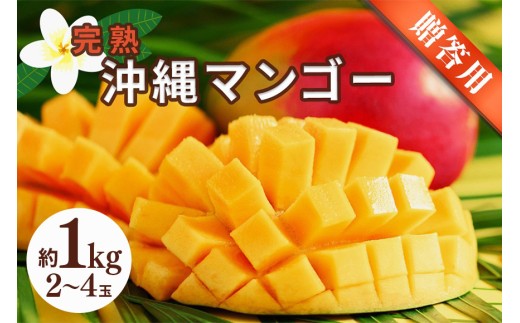 沖縄県産 贈答用マンゴー 1kg【 先行予約 2027年発送 】マンゴー 濃厚 甘い ジューシー 南国 フルーツ 果物 産地直送 プレゼント 贈り物 国産 お取り寄せ 沖縄 うるま市