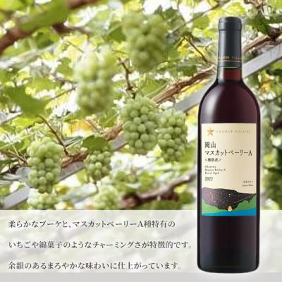 ふるさと納税 赤磐市 グランポレール 岡山マスカットベーリーA 樽熟成 赤 750ml 3本[NO5765-1112] |  | 01