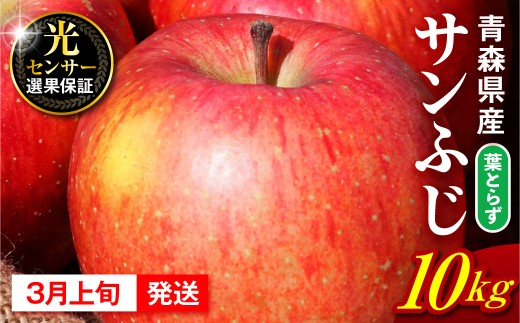 【2027年3月上旬発送】 りんご 10kg 葉とらず サンふじ 青森