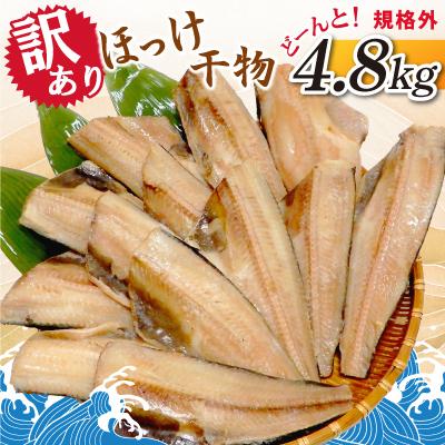 ふるさと納税 神栖市 【訳あり】ほっけ干物　どーんと! 4.8kg