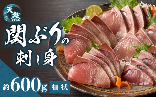関ぶりの刺し身（柵状）　約600g 関ぶり 魚 刺身 ぶり ブリ しゃぶしゃぶ ぶり大根 りゅうきゅう 天然 柵状 大分県 佐賀関 高鮮度 プロトン凍結 プリプリ 冷凍 E04014