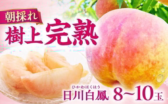 
            【朝採れ】【数量限定】樹上完熟！日川白鳳（桃）2kg（8ー10玉）ー2025年6月中旬より発送ー 長与町/小林果樹園 [EAT001] 桃 モモ もも 完熟もも 完熟桃 数量限定 先行予約 先行予約2025 せんこうよやく 果物 フルーツ 白鳳 ひかわはくほう
          