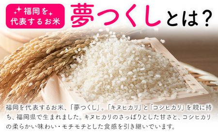 【12ヶ月定期便】夢つくし 令和7年産 米 20kg 白米《お申込み翌月から出荷》 福岡県 小竹町 お米 白米 国産