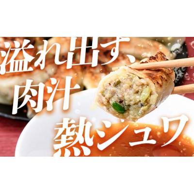 ふるさと納税 下仁田町 「下仁田名産シリーズ」下仁田ねぎ殿様餃子と下仁田ポーク肉餃子セット F21K-489 |  | 01