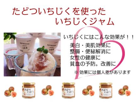 たどついちじく×さっぱりミルクアイス(16個セット)【予約受付中!2023年7月下旬より発送】【B-6】