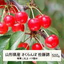 【ふるさと納税】 《先行予約》2025年 山形県産 さくらんぼ 佐藤錦 バラ詰 500g 特秀 L以上 F20A-897 ※沖縄・離島への配送不可