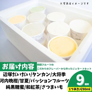 【A83004】＜2026年4月以降順次発送予定＞南のくだもの王国 南のFRUIT＆CROPS ジェラート セット (9種 9個入り) ジェラート アイスクリーム アイス スイーツ フルーツ おやつ 