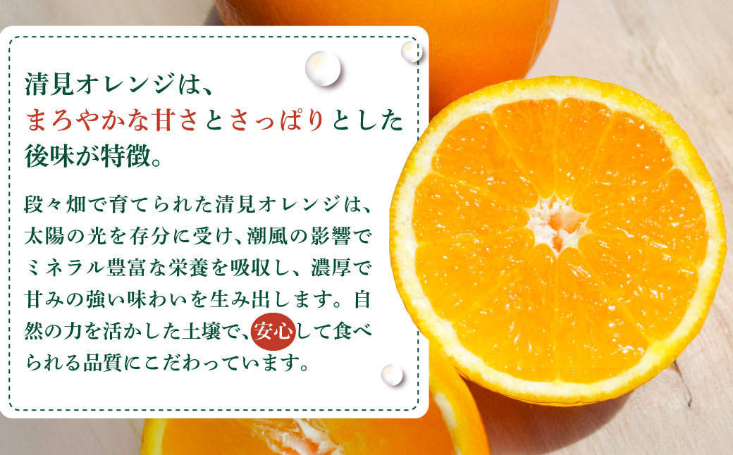 【先行予約】【家庭用】清見オレンジ 約5kg | 柑橘 みかん 果物 フルーツ 愛媛県産 農家直送　※離島への配送不可　※2026年2月下旬より順次発送予定 IKTAU010