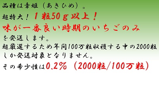 超特大いちご(章姫)　400g以上(6〜8粒、1粒50g以上)・O039-15 ／オオダケイチゴ 