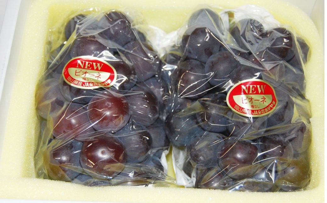【ハウス栽培】岡山県産ニューピオーネつる付き3房入り（1房580ｇ以上）