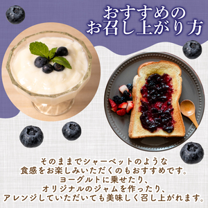 ブルーベリー 冷凍 750g 2025年7月より順次発送 ブルーベリー ブルーベリー ブルーベリー ブルーベリー ブルーベリー ブルーベリー  KY001