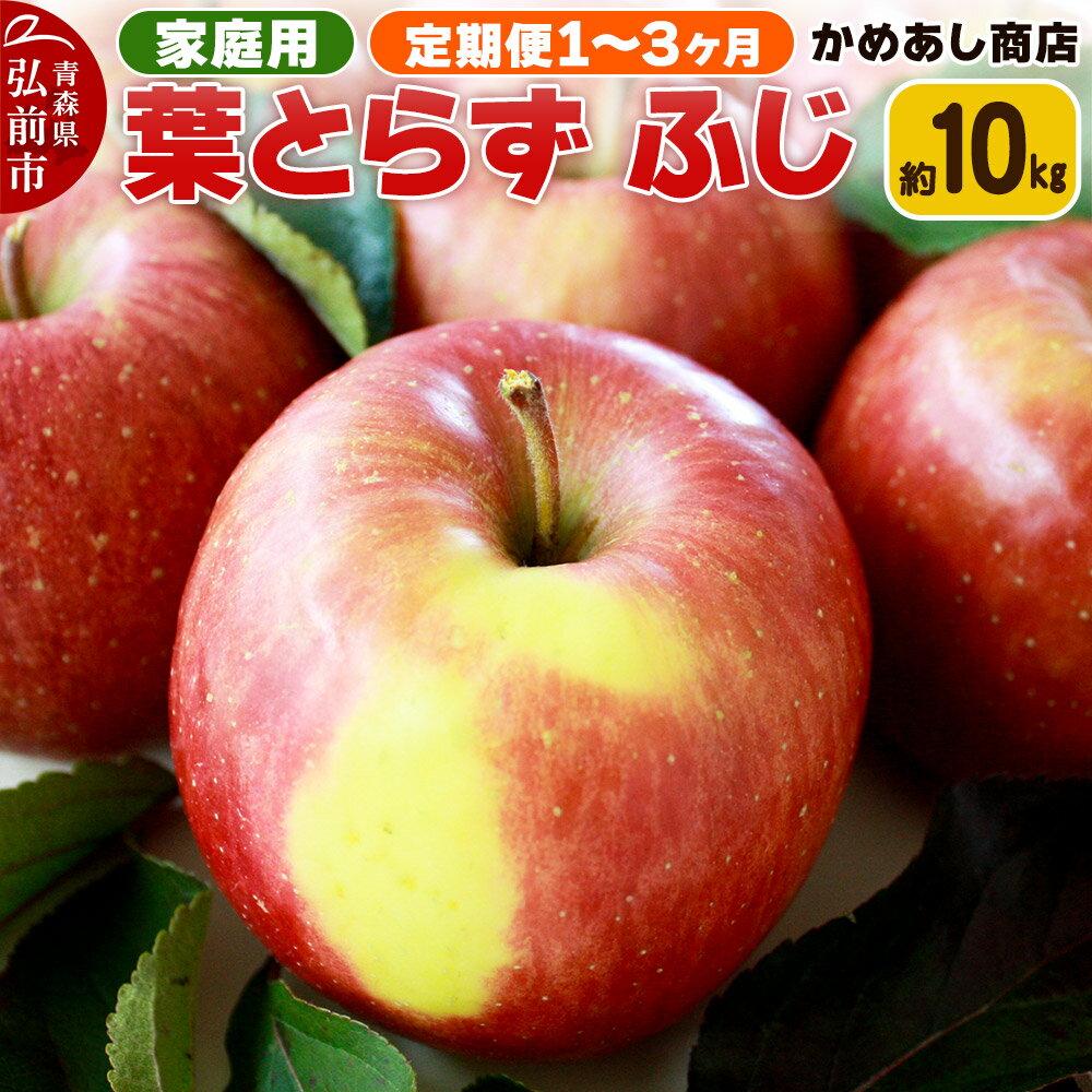 【ふるさと納税】【25年12月〜発送】【選べるお届け回数】りんご 葉とらず ふじ【家庭用】約10kg ゴールド農園