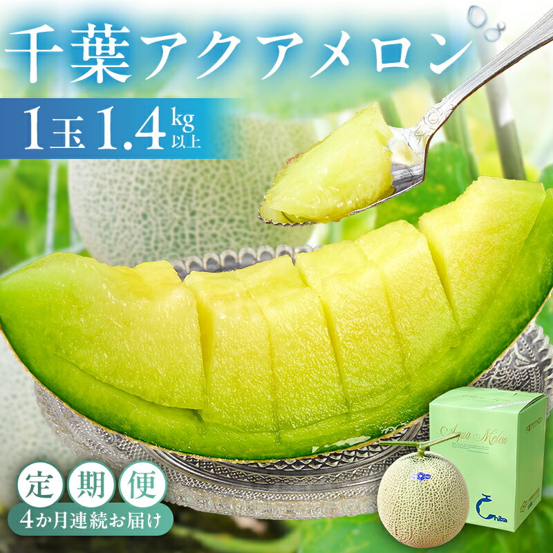 【ふるさと納税】 定期便 千葉アクアメロン1玉（1.4Kg） 4か月連続お届け 高評価レビュー 人気 高級品 厳選 メロン 化粧箱入り フルーツ 果物 デザート 農園 千葉県 南房総市 お取り寄せ グルメ 送料無料