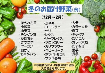 野菜セットA 7品 以上   （P&Cリンク）