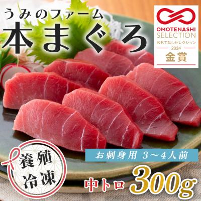 ふるさと納税 大月町 国産 養殖本マグロ 中トロ300g 刺身用 冷凍 柵 ギフト 贈答 産地直送 海鮮丼 寿司 御歳暮