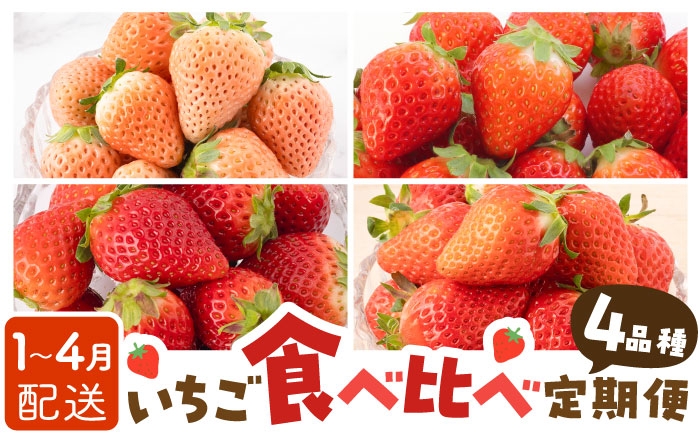 
                  【先行予約】【4回定期便】いちご 4品種 食べ比べ 白いちご など 希少品種 も！【岸川農園】 いちご 苺 イチゴ いちごさん よつぼし あわゆき 淡雪 淡雪いちご ほのか さがほのか しろいちご 白苺 しろ 白 フルーツ 果物 甘い あまい  アフター対応 アフターフォロー 期間限定 産地直送 国産 佐賀県産 さがいちご 九州 佐賀県 白石町  白石 [IAP011]
                