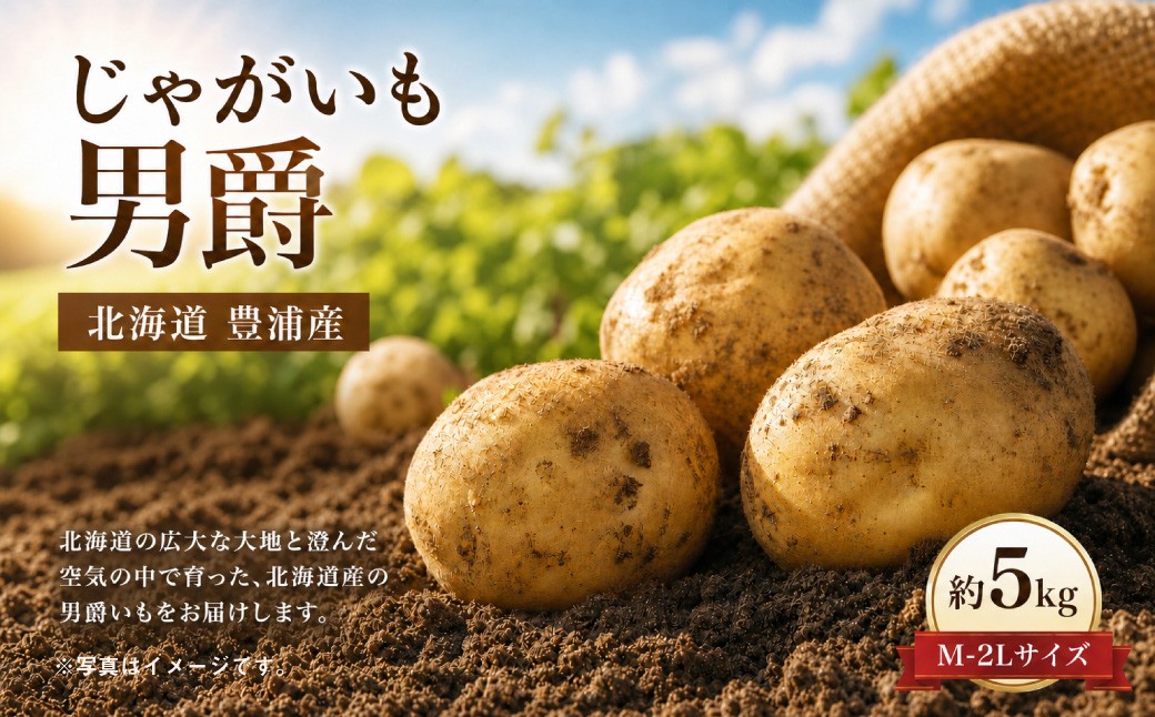 
                  【 先行予約 】 北海道 豊浦産 じゃがいも 男爵 約5kg M - 2L サイズ ジャガイモ イモ いも 芋 野菜 やさい 国産 男爵いも ポテトサラダ コロッケ マッシュポテト 【 2026年9月下旬～10月下旬発送 】
                