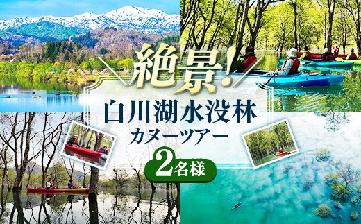 
                  絶景 水没林カヌーツアー（2名様）癒しの自然満喫アクティビティ【フォトジェニックスポット】 - 体験型 カヌー体験 レジャー カヌー 自然 白川湖 水没林 体験チケット アクティビティ 観光 アウトドア 山形県 飯豊町【価格改定】
                