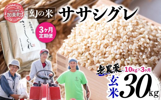 《 希少品種米 》  米 令和7年 宮城県産 ササシグレ ( 栽培期間中農薬・肥料不使用 ) 【 3回 定期便 】 玄米 10kg × 3ヶ月 （ 合計 30kg ）｜ 宮城県 加美町 お米 無農薬 こめ コメ ささしぐれ ササニシキ の 父 ｜ nt-ss10-gn-t3-r7