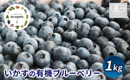 ブルーベリー いかす 有機 ブルーベリー 1kg 【7月上旬～8月上旬お届け】